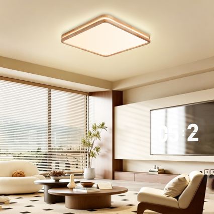 BRILAGI - Dimeriuojamas LED lubinis šviestuvas MOLINA SQUARE LED/80W/230V 3000-6000K ąžuolas 60x60 cm + nuotolinis valdymas