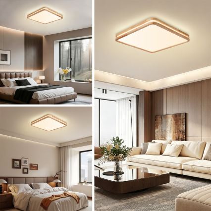 BRILAGI - Dimeriuojamas LED lubinis šviestuvas MOLINA SQUARE LED/80W/230V 3000-6000K ąžuolas 60x60 cm + nuotolinis valdymas