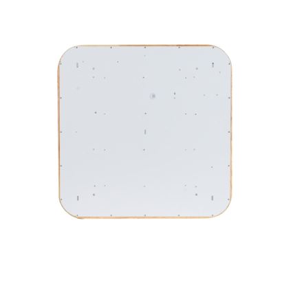 BRILAGI - Dimeriuojamas LED lubinis šviestuvas MOLINA SQUARE LED/80W/230V 3000-6000K ąžuolas 60x60 cm + nuotolinis valdymas