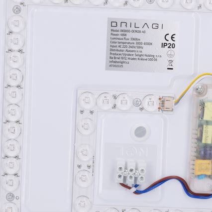 Brilagi - dimeriuojamas LED lubų šviestuvas NAOMI LED/48W/230V 3000-6500K skersmuo 39 cm juodas + nuotolinis valdymas