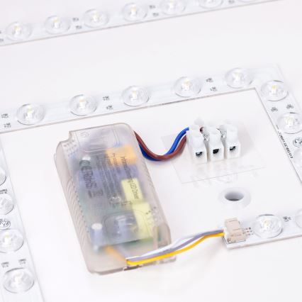 Brilagi - dimeriuojamas LED lubinis šviestuvas PILANA LED/48W/230V 3000-6500K ąžuolas/juodas 42x42 cm + nuotolinis valdymas