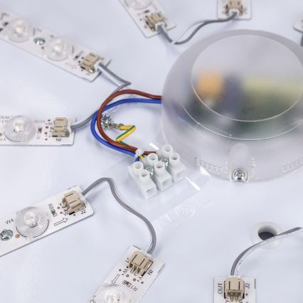 Brilagi - Reguliuojamas LED lubinis šviestuvas PILANA LED/72W/230V 3000-6500K ąžuolas/juoda skersmuo 80 cm + nuotolinio valdymo pultas