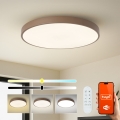 Brilagi – dimeriuojamas LED šviestuvas POOL SMART LED/100W/230V Ø 80 cm 3000–6000K Wi‑Fi (Tuya) + nuotolinis valdymas, ruda