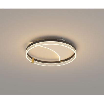 Brilagi - dimeriuojamas LED lubų šviestuvas SIRELI LED/47W/230V 3000-6000K skersmuo 40 cm + nuotolinio valdymo pultas