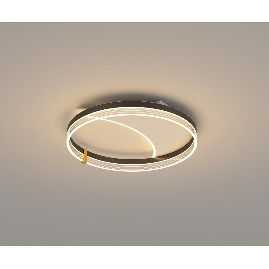 Brilagi - dimeriuojamas LED lubų šviestuvas SIRELI LED/47W/230V 3000-6000K skersmuo 40 cm + nuotolinio valdymo pultas