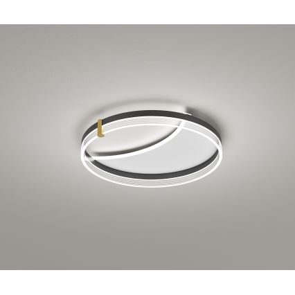 Brilagi - dimeriuojamas LED lubų šviestuvas SIRELI LED/47W/230V 3000-6000K skersmuo 40 cm + nuotolinio valdymo pultas