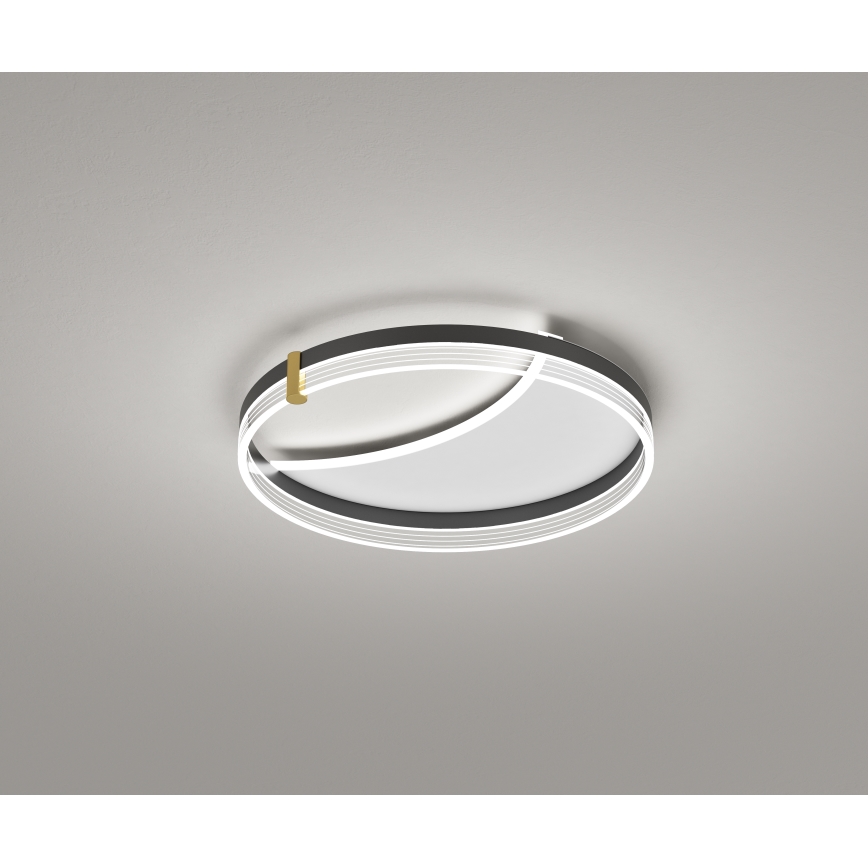 Brilagi - dimeriuojamas LED lubų šviestuvas SIRELI LED/47W/230V 3000-6000K skersmuo 40 cm + nuotolinio valdymo pultas