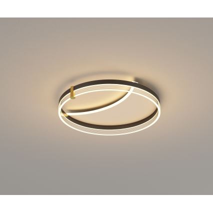 Brilagi - dimeriuojamas LED lubų šviestuvas SIRELI LED/47W/230V 3000-6000K skersmuo 40 cm + nuotolinio valdymo pultas