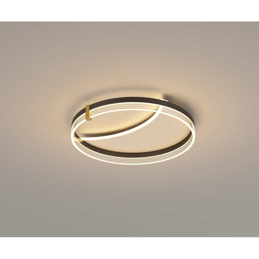 Brilagi - dimeriuojamas LED lubų šviestuvas SIRELI LED/47W/230V 3000-6000K skersmuo 40 cm + nuotolinio valdymo pultas
