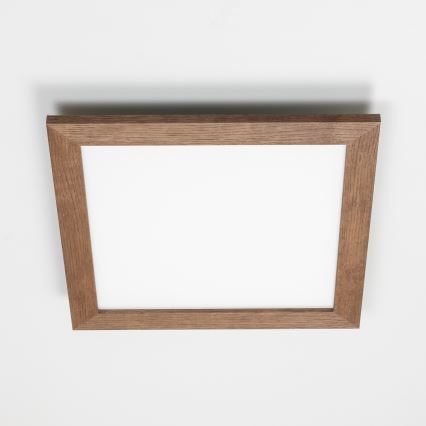 Brilagi - Dimeriuojamas LED lubinis šviestuvas SLIMFRAME WOOD LED/36W/230V 49,5x49,5 cm 3000-6000K tamsiai ruda + nuotolinio valdymo pultas