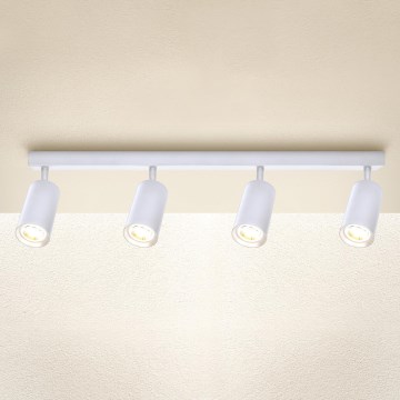 Brilagi - dimeriuojamas LED taškinis šviestuvas SELE 4xGU10/6,5W/230V 2700-6500K baltas