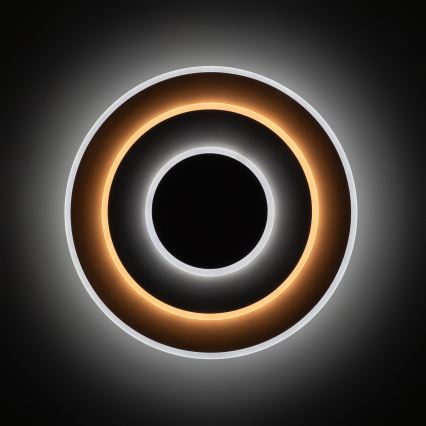 Brilagi - dimeriuojamas LED lubinis šviestuvas MODERN LED/58W/230V 3000-6000K skersmuo 46,3 cm + nuotolinio valdymo pultas