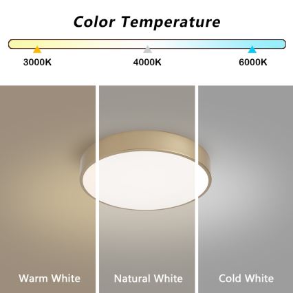 BRILAGI - dimeriuojamas POOL LED lubinis šviestuvas LED/36W/230V 3000–6000K, skersmuo 30 cm, auksinis + nuotolinis valdymas