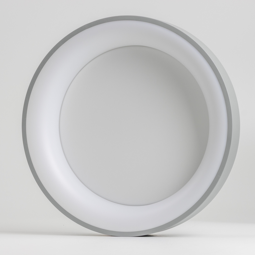 Brilagi - dimeriuojamas LED lubinis šviestuvas FALCON LED/80W/230V 3000-6500K skersmuo 60 cm pilkas + nuotolinis valdymas