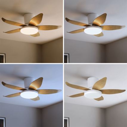 Brilagi - reguliuojamas LED lubinis ventiliatorius LED/32W/230V 3000-6500K Ø95 cm balta/ruda + nuotolinis valdymas