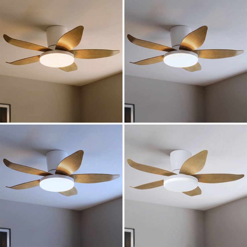 Brilagi - reguliuojamas LED lubinis ventiliatorius LED/32W/230V 3000-6500K Ø95 cm balta/ruda + nuotolinis valdymas
