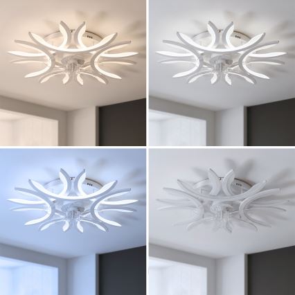 Brilagi - LED dimeriu reguliuojamas lubų ventiliatorius LED/70W/230V 3000-6500K skersmuo 76 cm baltas + nuotolinio valdymo pultas