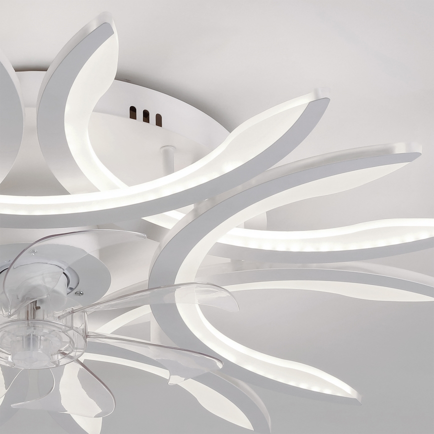 Brilagi - LED dimeriu reguliuojamas lubų ventiliatorius LED/70W/230V 3000-6500K skersmuo 76 cm baltas + nuotolinio valdymo pultas