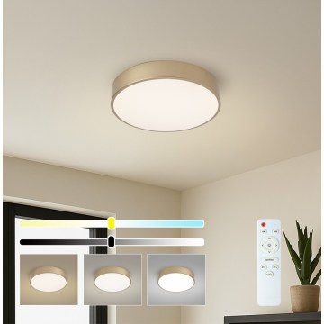 BRILAGI - dimeriuojamas POOL LED lubinis šviestuvas LED/36W/230V 3000–6000K, skersmuo 30 cm, auksinis + nuotolinis valdymas