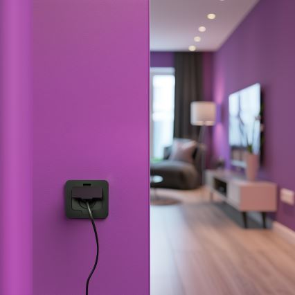 Brilagi - lauko įleidžiamas grindinis lizdas IP55, juodas, stačiakampis