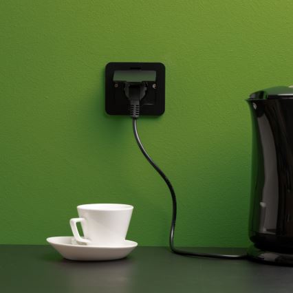 Brilagi - lauko įleidžiamas grindinis lizdas IP55, juodas, stačiakampis