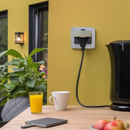 Brilagi - Lauko įmontuojamas grindų lizdas IP55 matinis chromas stačiakampis