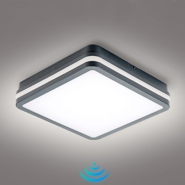 Brilagi - Lauko LED šviestuvas su judesio jutikliu BENE LED/24W/230V 26x26 cm antracito spalvos IP54