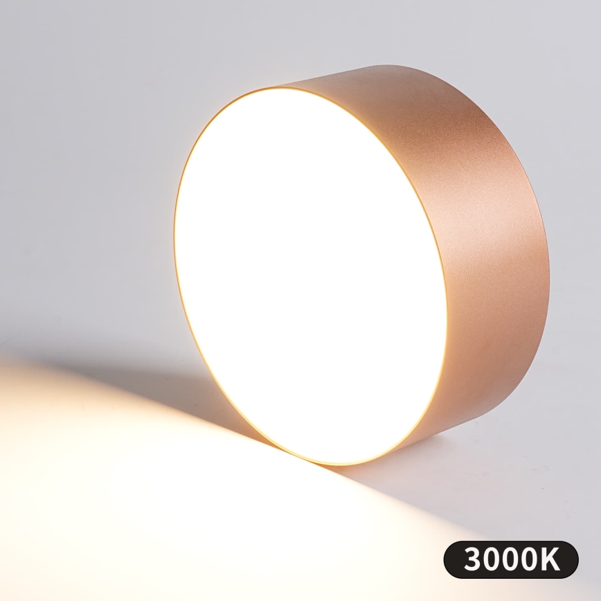 BRILAGI - Lauko lubinis šviestuvas FORIS LED/20W/230V Ø 15 cm bronzinis IP44
