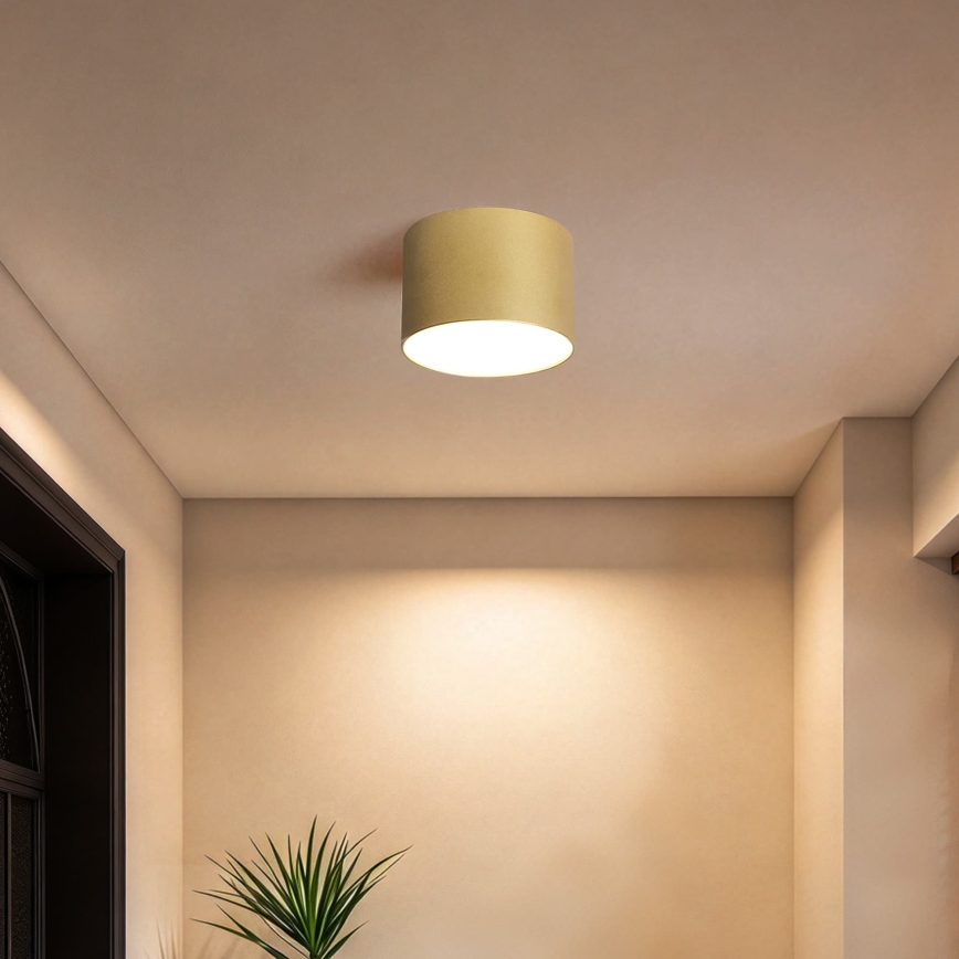 BRILAGI - Lauko lubinis šviestuvas FORIS LED/9W/230V Ø 9 cm auksinis IP44