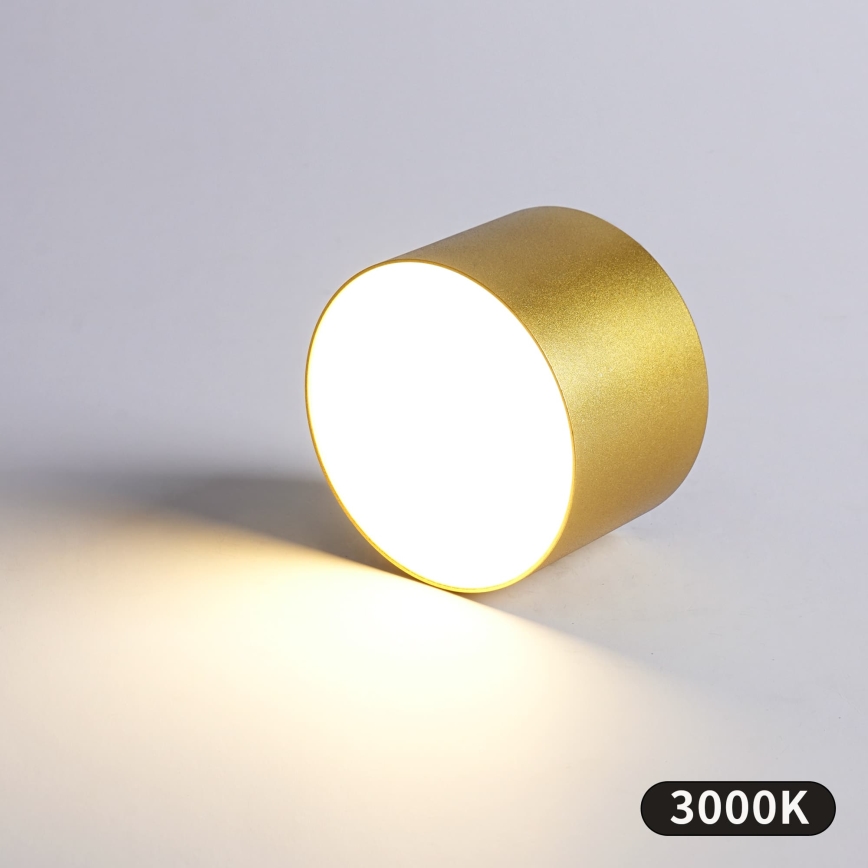 BRILAGI - Lauko lubinis šviestuvas FORIS LED/9W/230V Ø 9 cm auksinis IP44