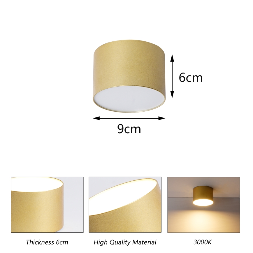 BRILAGI - Lauko lubinis šviestuvas FORIS LED/9W/230V Ø 9 cm auksinis IP44