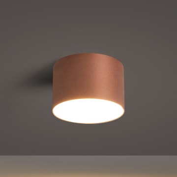 BRILAGI - Lauko lubinis šviestuvas FORIS LED/9W/230V Ø 9 cm bronzinė IP44