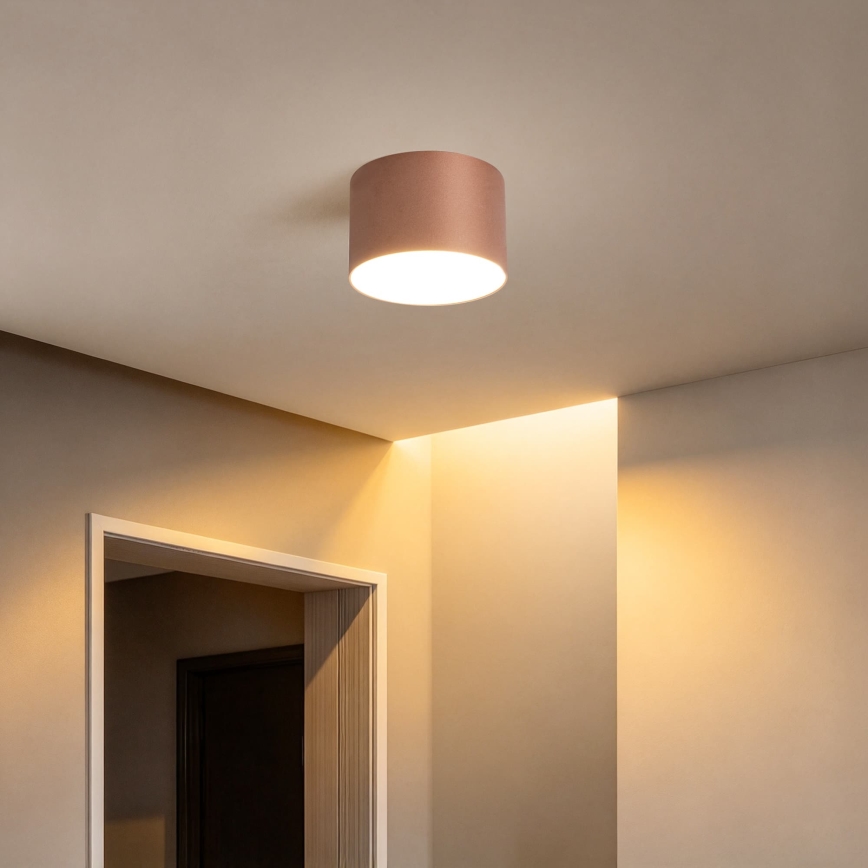 BRILAGI - Lauko lubinis šviestuvas FORIS LED/9W/230V Ø 9 cm bronzinė IP44