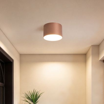 BRILAGI - Lauko lubinis šviestuvas FORIS LED/9W/230V Ø 9 cm bronzinė IP44