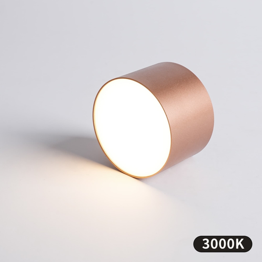 BRILAGI - Lauko lubinis šviestuvas FORIS LED/9W/230V Ø 9 cm bronzinė IP44