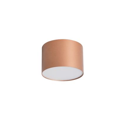BRILAGI - Lauko lubinis šviestuvas FORIS LED/9W/230V Ø 9 cm bronzinė IP44