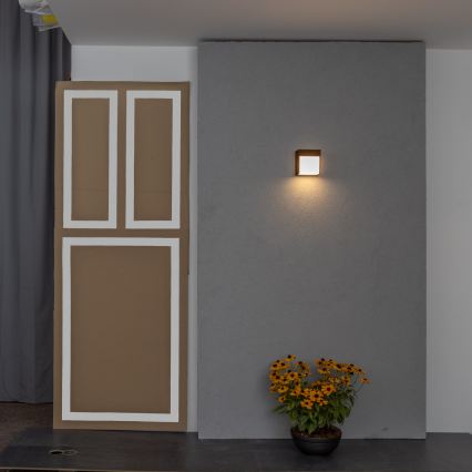 BRILAGI - lauko sieninis LED šviestuvas TERNI LED/12W/230V rudas IP44