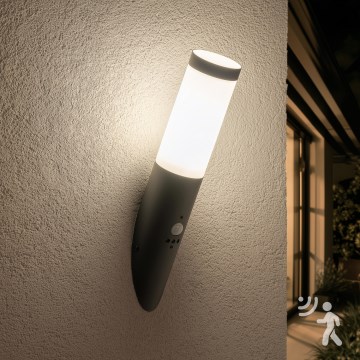 BRILAGI - Lauko sieninis šviestuvas su judesio jutikliu ELIA 1xE27/20W/230V IP44, antracito spalvos