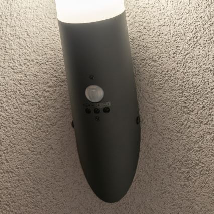 BRILAGI - Lauko sieninis šviestuvas su judesio jutikliu ELIA 1xE27/20W/230V IP44, antracito spalvos