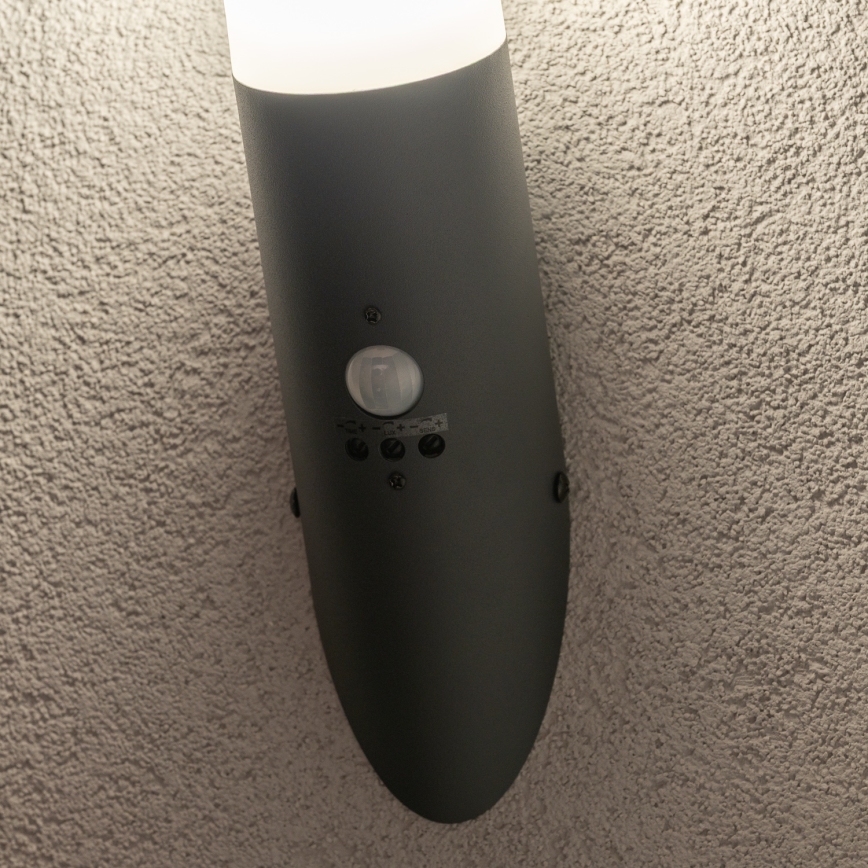 BRILAGI - Lauko sieninis šviestuvas su judesio jutikliu ELIA 1xE27/20W/230V IP44, antracito spalvos