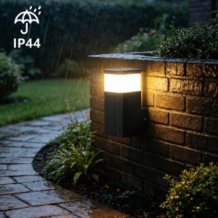 BRILAGI - Lauko sieninis šviestuvas su SCHUKO PILLAR lizdu 1xG9/11W/230V IP44 juodas