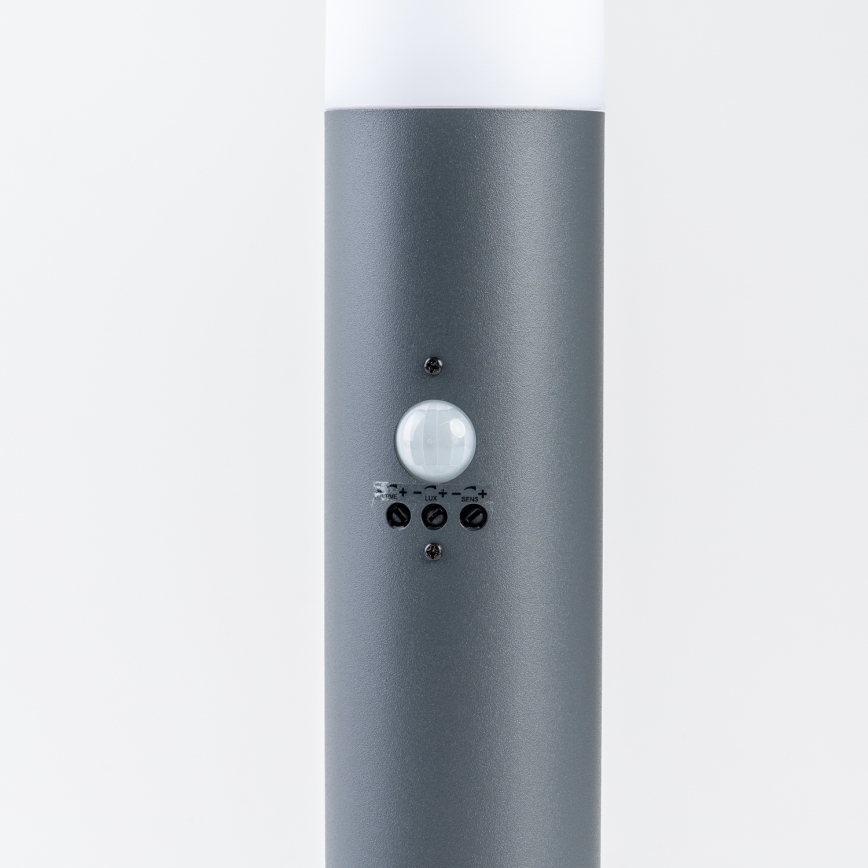 BRILAGI - Lauko šviestuvas su judesio jutikliu ELIA 1xE27/20W/230V IP44 50 cm antracitas