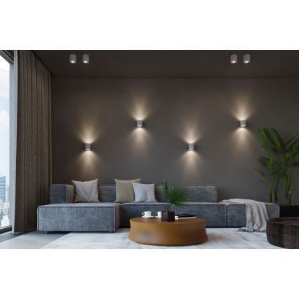 Brilagi -  LED akcentinis šviestuvas FRIDA 1xGU10/7W/230V betonas