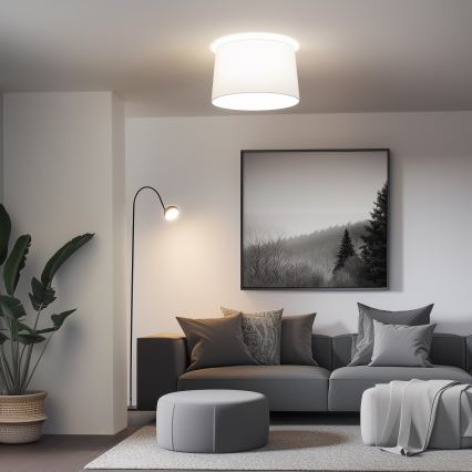 Brilagi - LED ant lubų montuojamas šviestuvas CERIA 1xE27/40W/230V Ø 45 cm baltas