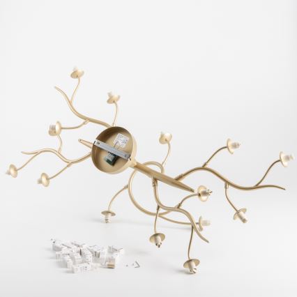 Brilagi - LED Ant pagrindo montuojamas sietynas MISTEL 15xG9/3W/230V auksas/balta