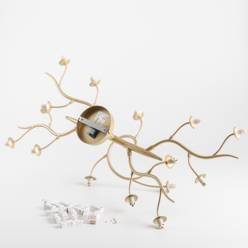 Brilagi - LED Ant pagrindo montuojamas sietynas MISTEL 15xG9/3W/230V auksas/balta