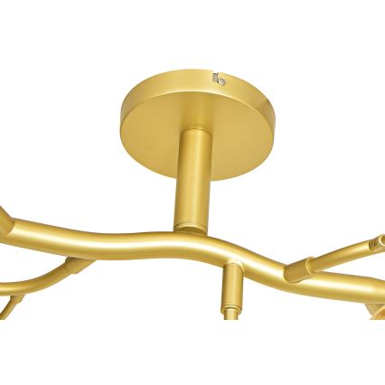 Brilagi - LED Ant pagrindo montuojamas sietynas MISTEL 15xG9/3W/230V auksas