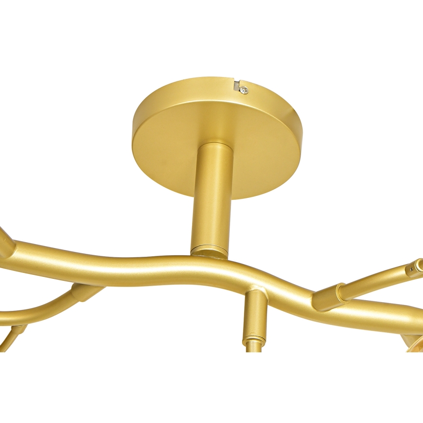 Brilagi - LED Ant pagrindo montuojamas sietynas MISTEL 15xG9/3W/230V auksas