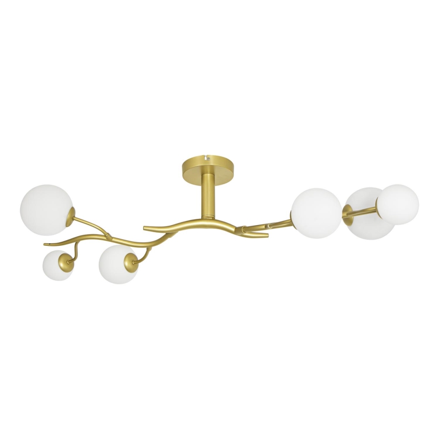 Brilagi - LED Ant pagrindo montuojamas sietynas MISTEL 6xG9/3W/230V auksas/balta