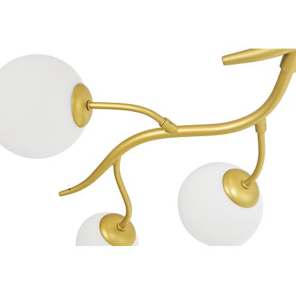 Brilagi - LED Ant pagrindo montuojamas sietynas MISTEL 6xG9/3W/230V auksas/balta
